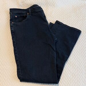 Citizens Of Humanity Dark Blue Men's Pants